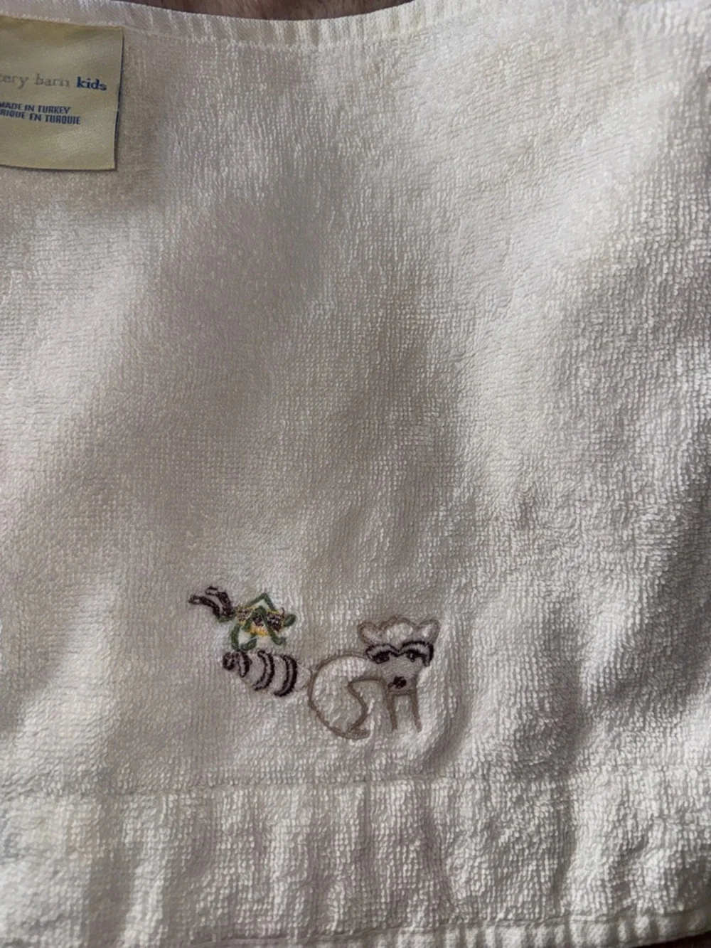 Pottery Barn Kids Raccoon and Grasshopper Washcloth!